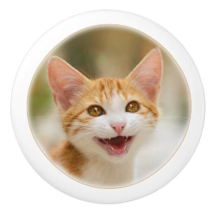 Lächelnder lustiger Meow Katze des Kätzchens Keramikknauf
