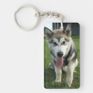 Lächelnder Malamute-Schlüsselanhänger Schlüsselanhänger