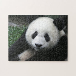 Lächelnder Panda-Bär