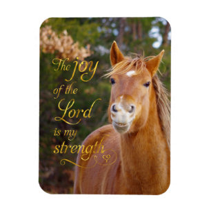 Lächelnder Pferdebibel-Zitat-Foto-Magnet Magnet