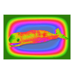 lächelnder psychedelischer Wal-Fotodruck Fotodruck