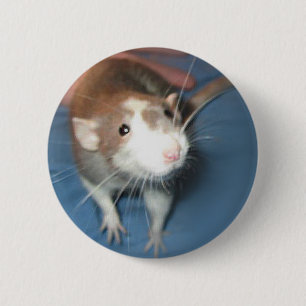 LÄCHELNDER RATTEpin-/knopf Button