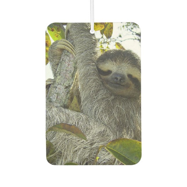 Lächelndes Faulenzerhitz, Smaragdsee Autolufterfrischer (Vorderseite)