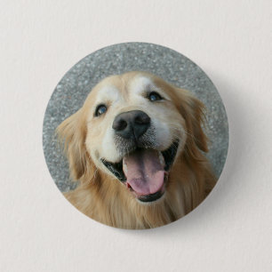 Lächelndes golden retriever button