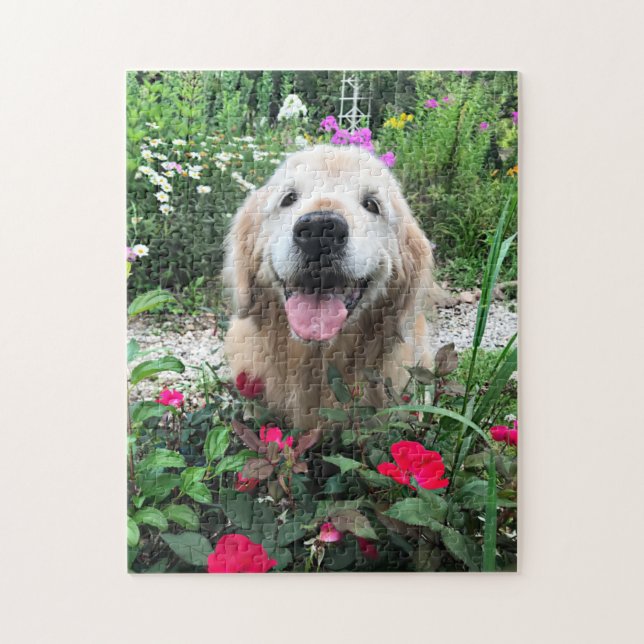 Lächelndes Golden Retriever Hund unter Roten Blume (Vertikal)