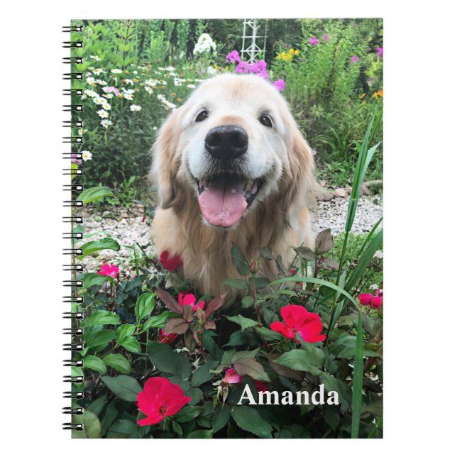 Lächelndes Golden Retriever Hund unter Roten Blume Notizblock (Vorderseite)