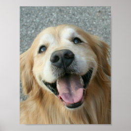 Lächelndes Golden Retriever Poster