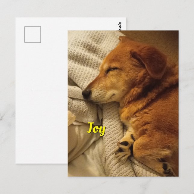 Lächelndes Hund Postkarte (Vorne/Hinten)