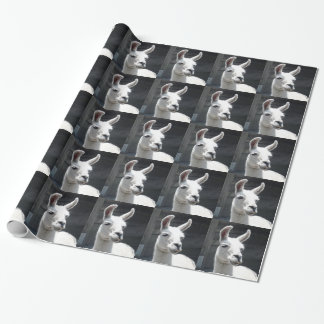 Lächelndes Lama-Packpapier Geschenkpapier