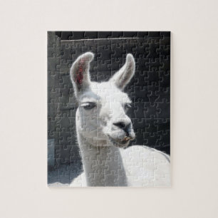 Lächelndes Lama-Puzzlespiel