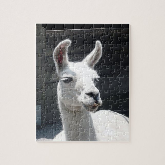Lächelndes Lama-Puzzlespiel (Vertikal)