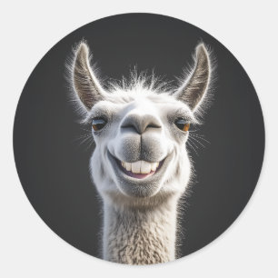 Lächelndes Llama Nah-Up Runder Aufkleber
