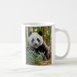 Lächelndes Panda Portrait Kaffeetasse