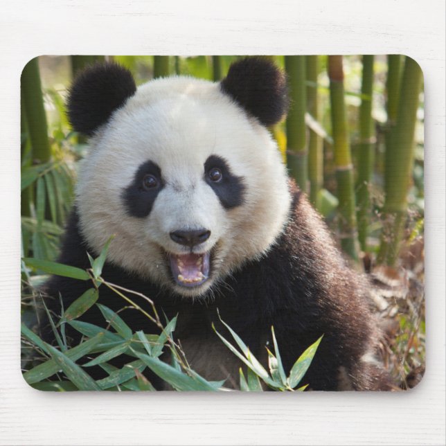 Lächelndes Panda Portrait Mousepad (Vorne)