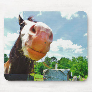 Lächelndes Pferd Mousepad