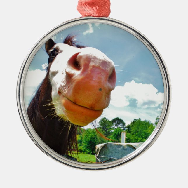 Lächelndes Pferd Ornament Aus Metall (Vorne)