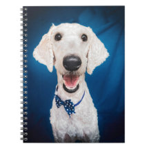 Lächelndes Poodle Spiral Notebook