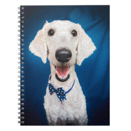 Lächelndes Poodle Spiral Notebook Notizblock