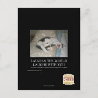 Lachen & die Welt lacht mit dir