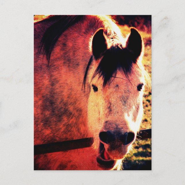 Lachen Postkarte (Vorderseite)
