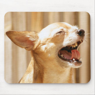 Lachende Chihuahua Mousepad