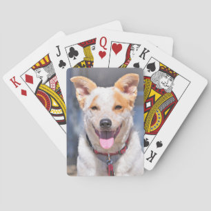 Lachende Hundespielkarten Spielkarten