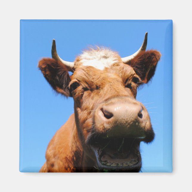 Lachende Kuh Magnet (Vorne)