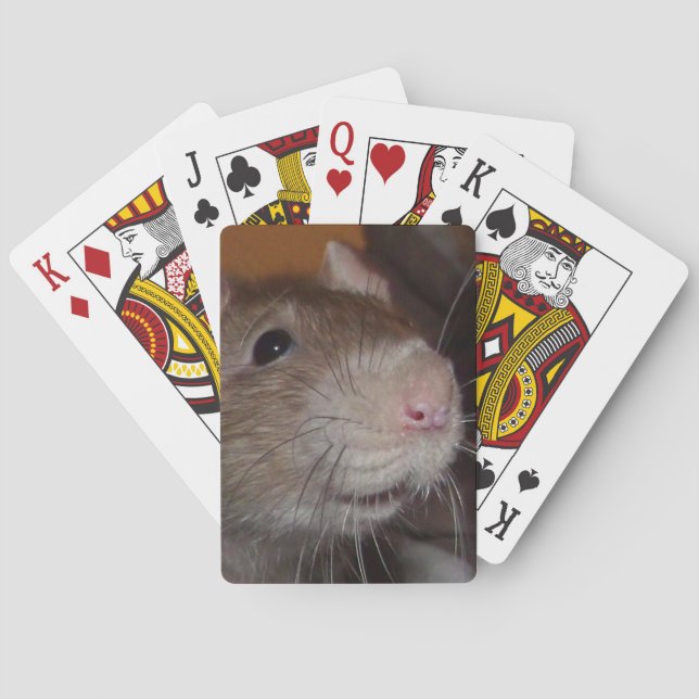lachende Ratte spielt Karten Spielkarten (Rückseite)