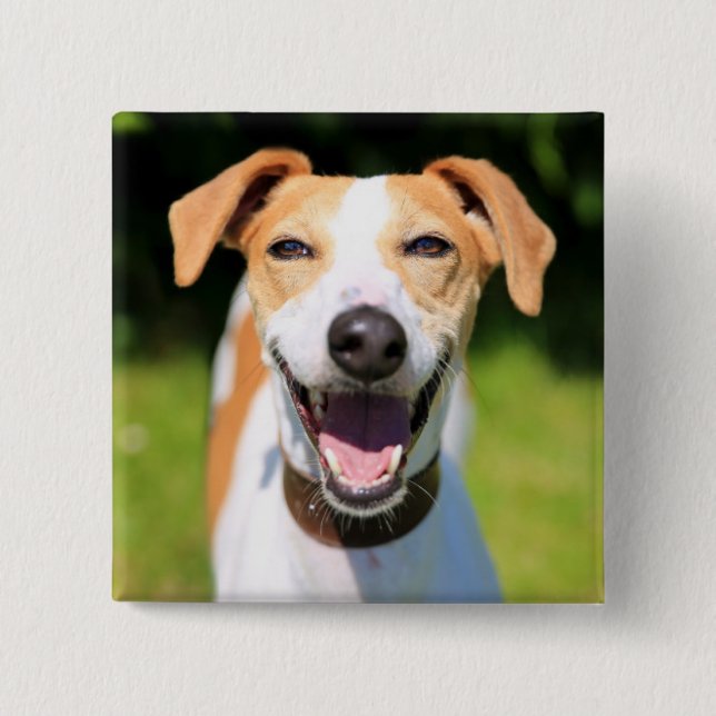 Lachender Hund Getty Bild-| Button (Vorderseite)