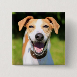 Lachender Hund Getty Bild- Button