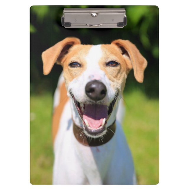 Lachender Hund Getty Bild-| Klemmbrett (Vorderseite)