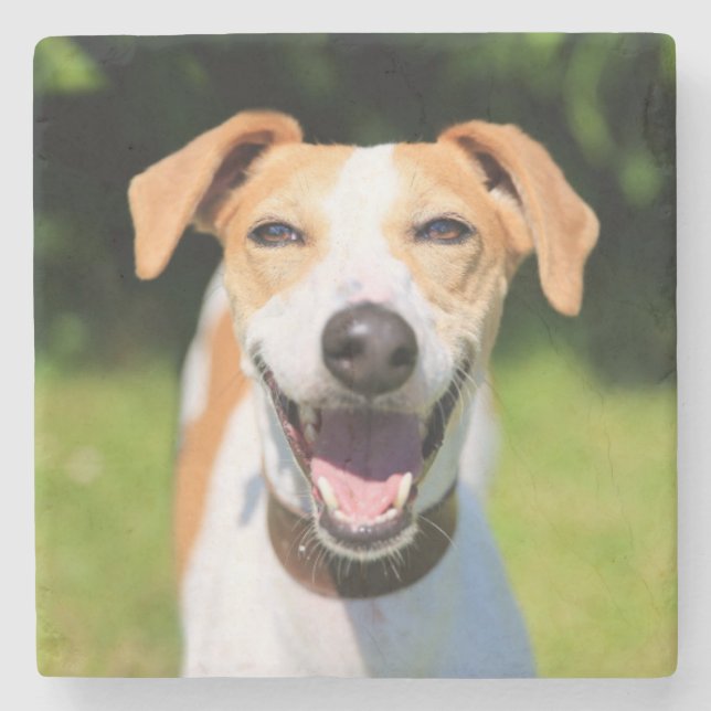 Lachender Hund Getty Bild-| Steinuntersetzer (Vorderseite)