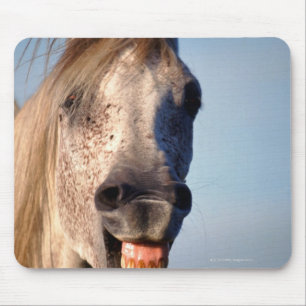 lachendes Pferd Mousepad