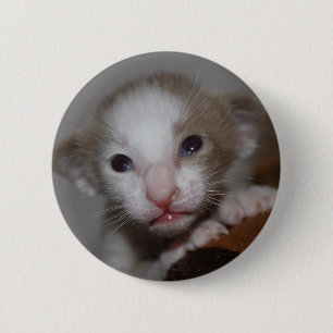Lächerlich niedliches Babykitt Button