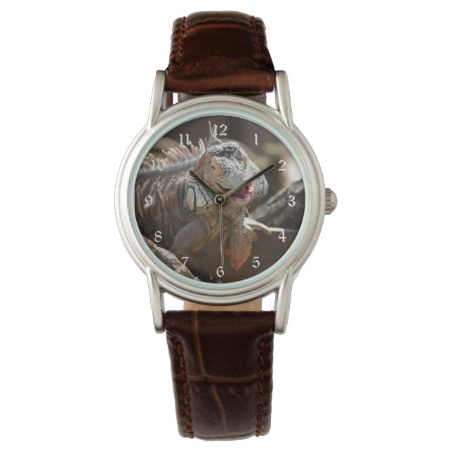 Laching Iguana Foto Armbanduhr (Vorderseite)