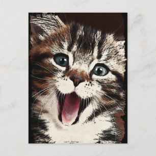 Lachkatze Postkarte