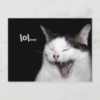 Lachkatze