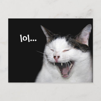 Lachkatze Postkarte