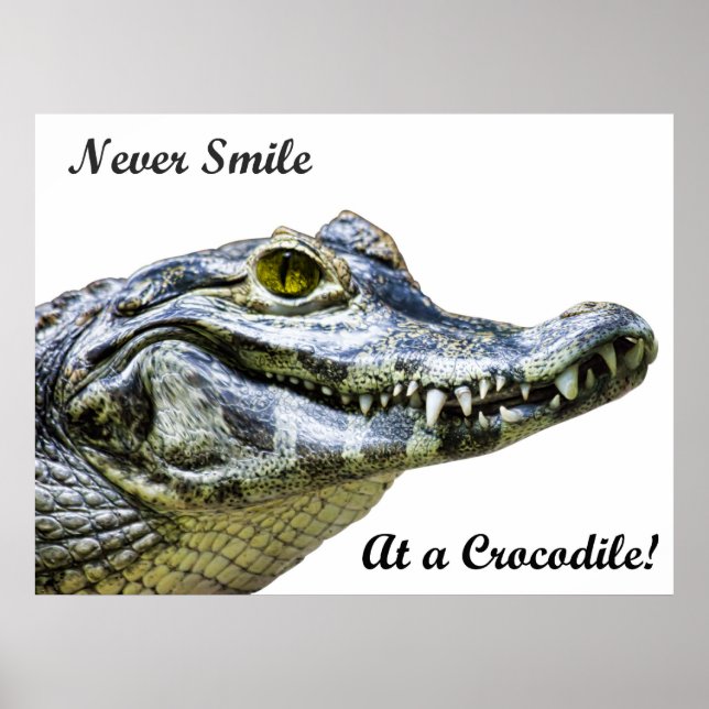 Lächle nie bei einem Krokodil! Poster (Vorne)