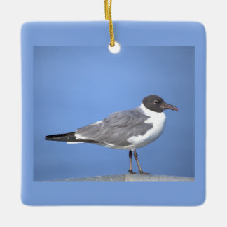 Lachmöwe Foto Schmuck Keramikornament