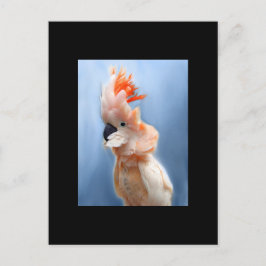 Lachs Crested Cockatoo ACEO Art Trading Card Postkarte