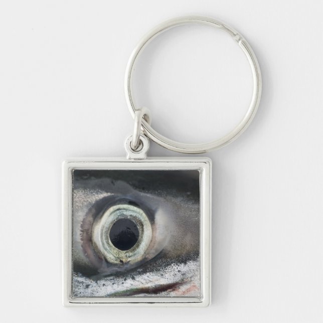 Lachs Eye Schlüsselanhänger (Vorne)