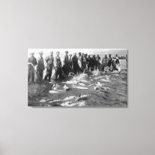 Lachs in Astoria, oder Fotografie Leinwanddruck