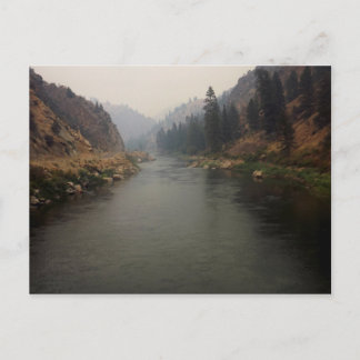 Lachs in Idaho Postkarte