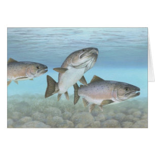 Lachs-Malerkarte