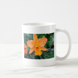 Lachs Orchid Kaffeetasse