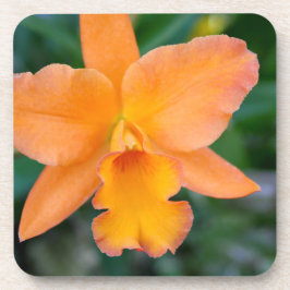 Lachs Orchid Untersetzer