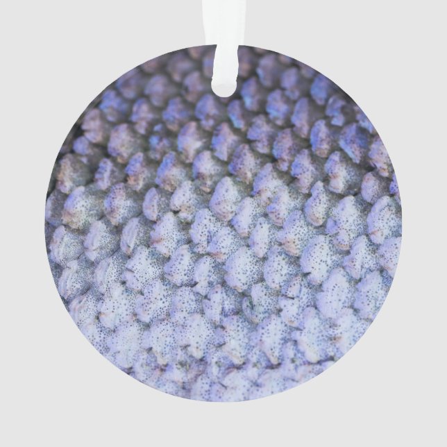 Lachs Ornament (Rückseite)