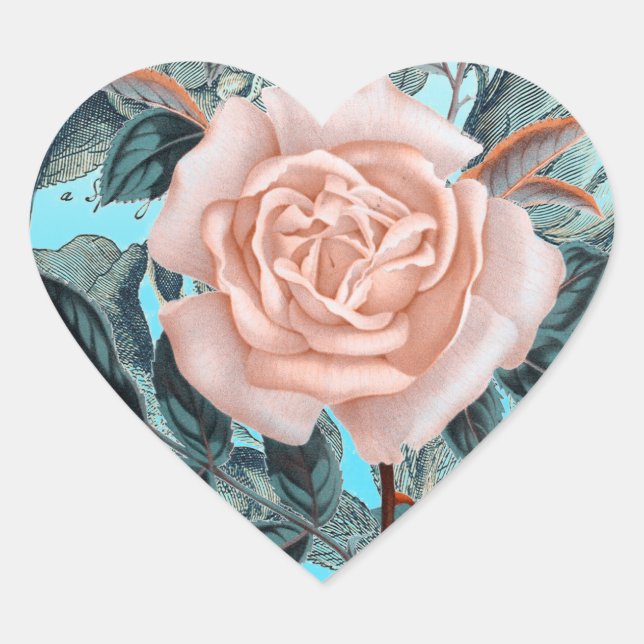 Lachs Pink shabby Rose Herz-Aufkleber (Vorderseite)
