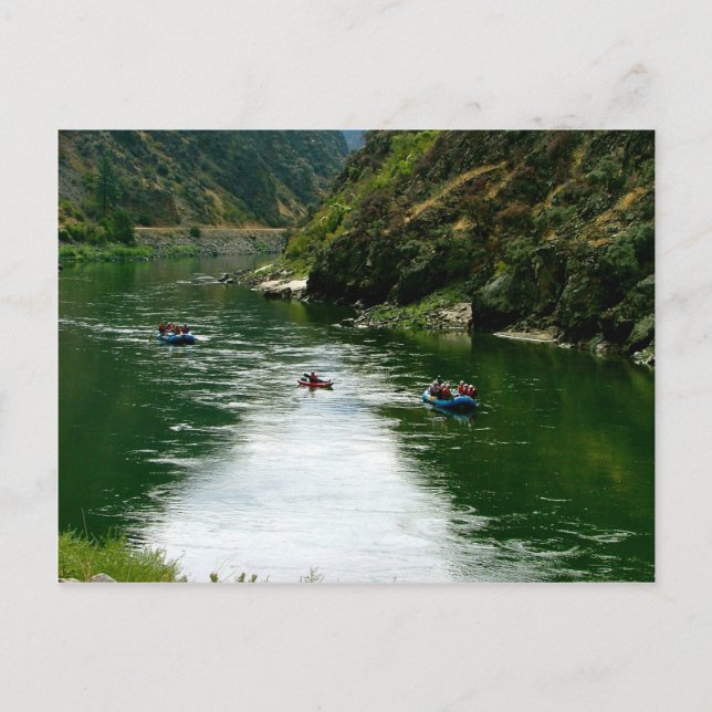 Lachs River Repose Postkarte (Vorderseite)